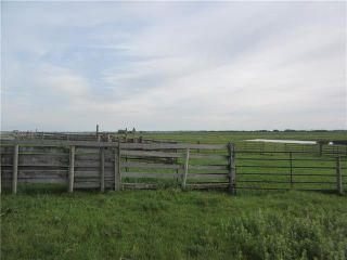 Photo 6: 250 Range Road: Rural Wheatland County Land for sale : MLS®# C4302878