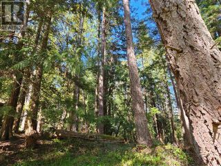 Photo 6: 1548 VANCOUVER BLVD in Savary Island: Vacant Land for sale : MLS®# 17229