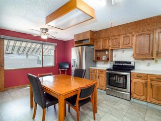 Photo 3: 535 Markerville Road NE in Calgary: Mayland Heights Detached for sale : MLS®# A1218365
