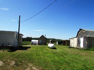 Photo 12: 3941 247 Road in Kiskatinaw: BCNREB Out of Area Manufactured Home for sale (Fort St. John (Zone 60))  : MLS®# R2327027