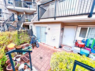 Photo 3: 50 9339 ALBERTA Road in Richmond: McLennan North Townhouse for sale in "TRELLAINE" : MLS®# R2767034