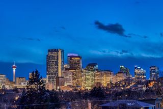 Photo 6: 1005 Drury Avenue NE in Calgary: Bridgeland/Riverside Detached for sale : MLS®# A1121574