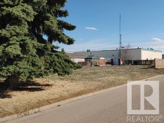 Photo 6: 5515 48 Street: Tofield Vacant Lot/Land for sale : MLS®# E4273517