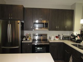 Photo 6: 17467 77 Street in Edmonton: Zone 28 House for sale : MLS®# E4272625