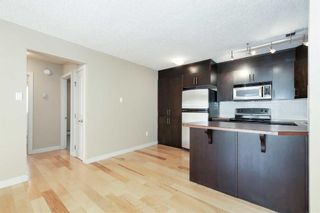 Photo 19: 413 1333 13 Avenue SW in Calgary: Beltline Apartment for sale : MLS®# A2125710