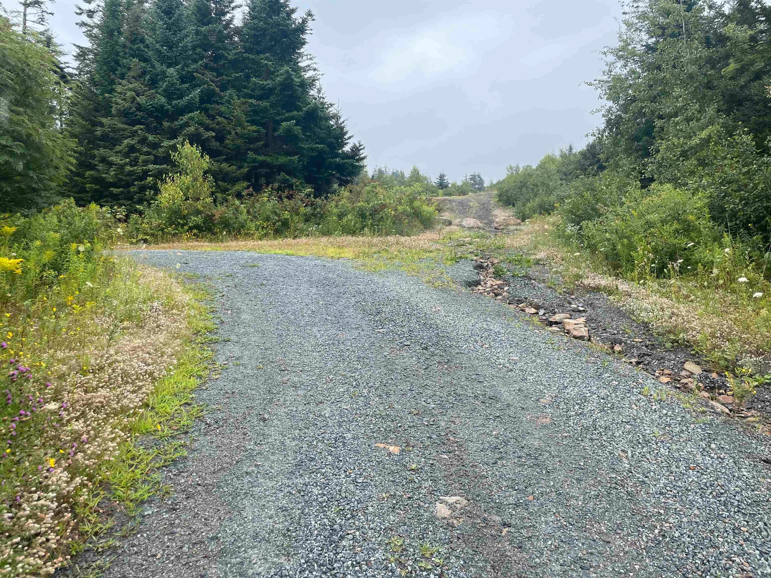 Main Photo: Lot 4 0 Brian Street in East Preston: 31-Lawrencetown, Lake Echo, Port Vacant Land for sale (Halifax-Dartmouth)  : MLS®# 202219025