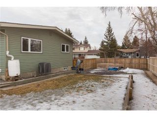 Photo 41: 11443 BRANIFF Road SW in Calgary: Braeside House for sale : MLS®# C4050244