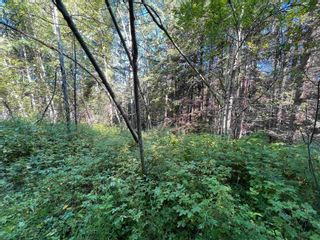 Photo 10: LOT 3 CAVE Road in Williams Lake: Horsefly Land for sale : MLS®# R2719437