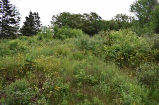Photo 3: Lot No. 1 Highway in Smiths Cove: 401-Digby County Vacant Land for sale (Annapolis Valley)  : MLS®# 202014461