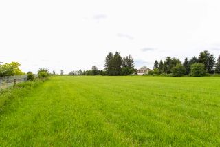 Photo 11: LOT 4 MCNEIL ROAD in Pitt Meadows: North Meadows PI Land for sale : MLS®# R2068304
