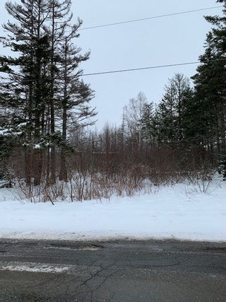 Photo 1: Parcel MAO-1 Long Point Road in Burlington: 404-Kings County Vacant Land for sale (Annapolis Valley)  : MLS®# 202100989