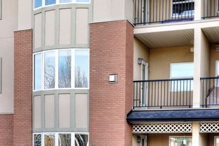 Photo 40: 2229 48 Inverness Gate SE in Calgary: McKenzie Towne Apartment for sale : MLS®# A1197626