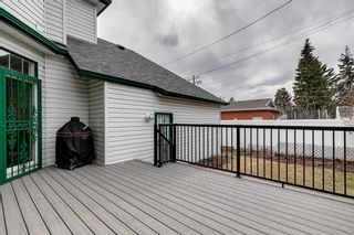 Photo 46: 2211 18 Street NW in Calgary: Banff Trail Detached for sale : MLS®# A2123023