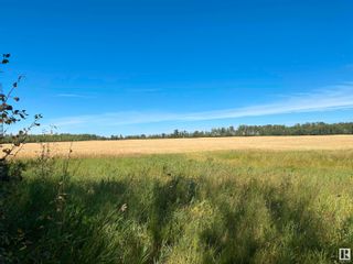 Photo 9: 19422 TWP Road 622 SW: Rural Thorhild County Vacant Lot/Land for sale : MLS®# E4314800