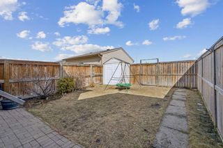 Photo 35: 253 Elgin Meadows Park SE in Calgary: McKenzie Towne Semi Detached (Half Duplex) for sale : MLS®# A2121804