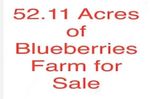 Main Photo: 16397 40 Avenue in Surrey: Serpentine Land for sale (Cloverdale)  : MLS®# R2863773