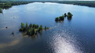 Photo 3: Lt 1 Canal Lake in Kawartha Lakes: Rural Carden Property for sale : MLS®# X5635905