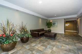 Photo 3: 413 5465 203 Street in Langley: Langley City Condo for sale in "Station 54" : MLS®# R2213086