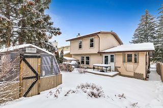 Photo 37: 151 Sandarac Place NW in Calgary: Sandstone Valley Detached for sale : MLS®# A2019987