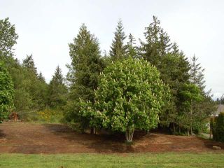 Photo 4: LT B 2850 BRYDEN PLACE in COURTENAY: Z2 Courtenay East Lots/Acreage for sale (Zone 2 - Comox Valley)  : MLS®# 328044