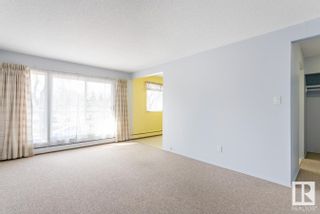 Photo 22: 8924 85 Avenue in Edmonton: Zone 18 House Fourplex for sale : MLS®# E4384214
