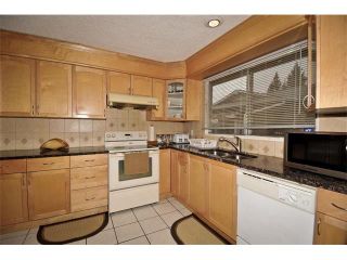 Photo 10: 3307 48 Street NE in Calgary: Whitehorn House for sale : MLS®# C4003900