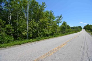 Photo 4: Lot Townshipline Road in Ohio: 401-Digby County Vacant Land for sale (Annapolis Valley)  : MLS®# 202114115