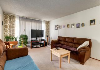 Photo 15: 220 Berwick Way NW in Calgary: Beddington Heights Detached for sale : MLS®# A2053783