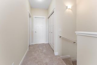 Photo 25: 53 Skyview Ranch Manor NE in Calgary: Skyview Ranch Row/Townhouse for sale : MLS®# A2123726