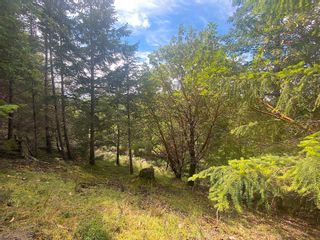 Photo 11: LOT 11 DISTRICT LOT 71 AND 77: Galiano Island Land for sale (Islands-Van. & Gulf)  : MLS®# R2706173