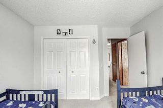 Photo 30: 116 Bridlewood Circle SW in Calgary: Bridlewood Detached for sale : MLS®# A2118131