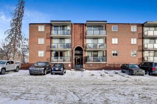 Main Photo: 414 1411 7 Avenue NW in Calgary: Hillhurst Apartment for sale : MLS®# A2103592