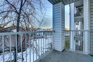 Photo 16: 3225 6818 Pinecliff Grove NE in Calgary: Pineridge Apartment for sale : MLS®# A1053438