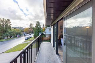 Photo 38: 1133 CECILE Drive in Port Moody: College Park PM House for sale : MLS®# R2736041