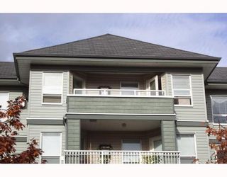 Photo 2: 408 2439 WILSON Avenue in Port Coquitlam: Central Pt Coquitlam Condo for sale : MLS®# V675180