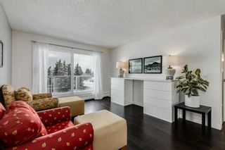 Photo 3: 412A 4455 Greenview Drive NE in Calgary: Greenview Apartment for sale : MLS®# A2124113