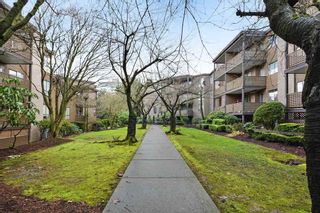 Photo 13: 214 10662 151A Street in Surrey: Guildford Condo for sale in "Lincoln Hill" (North Surrey)  : MLS®# R2337258