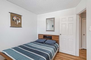 Photo 22: 1968 Cottonwood Crescent SE in Calgary: Southview Detached for sale : MLS®# A2115986