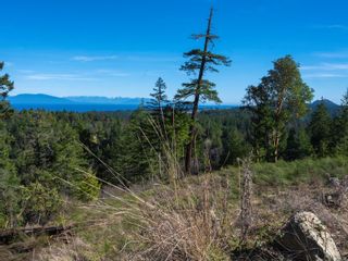 Photo 11: 7390 High Ridge Cres in Lantzville: Na Upper Lantzville Land for sale (Nanaimo)  : MLS®# 896386