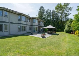 Photo 16: 21369 18 Avenue in Langley: Campbell Valley House for sale in "Campbell Valley" : MLS®# R2217900