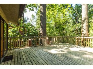 Photo 15: 1349 TERRACE Avenue in North Vancouver: Capilano NV House for sale : MLS®# R2092502