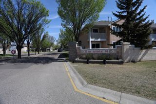 Photo 34: 51 388 Sandarac Drive NW in Calgary: Sandstone Valley Row/Townhouse for sale : MLS®# A2034090