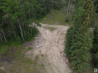 Photo 8: highway 13A 780: Rural Wetaskiwin County Rural Land/Vacant Lot for sale : MLS®# E4302251