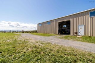 Photo 13: 10238 Highway 221 in Habitant: Kings County Farm for sale (Annapolis Valley)  : MLS®# 202221226