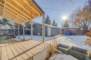 Photo 34: 3421 19 Avenue SE in Calgary: Southview Detached for sale : MLS®# A2019287