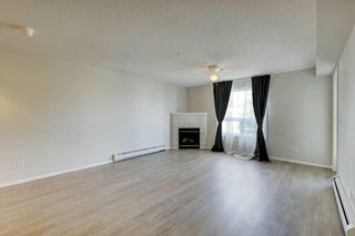 Photo 26: 5309 604 8 Street SW: Airdrie Apartment for sale : MLS®# A2125479