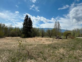 Photo 13: 2880 MOUNTAIN VIEW Road in McBride: McBride - Town Land for sale (Robson Valley)  : MLS®# R2879829