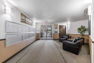 Photo 19: 209 11 Dover Point SE in Calgary: Dover Apartment for sale : MLS®# A2130019
