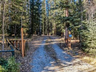 Photo 5: 135 5417 Highway 579: Rural Mountain View County Detached for sale : MLS®# A1183770