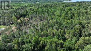 Photo 2: St. Marys Bay in Gaspereau: Vacant Land for sale : MLS®# 202317750